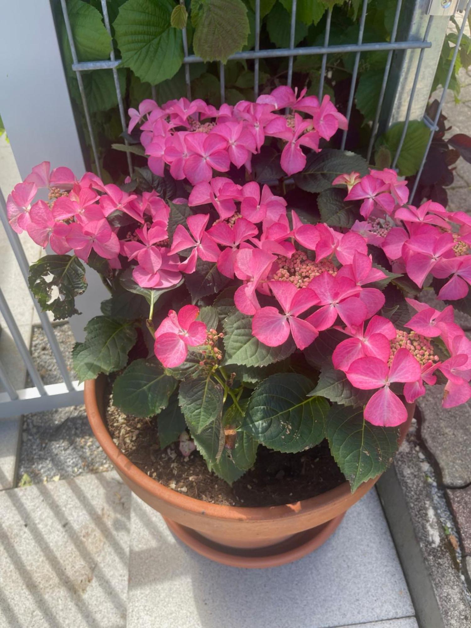 Innatura Velden 벨덴암워스에르시 외부 사진